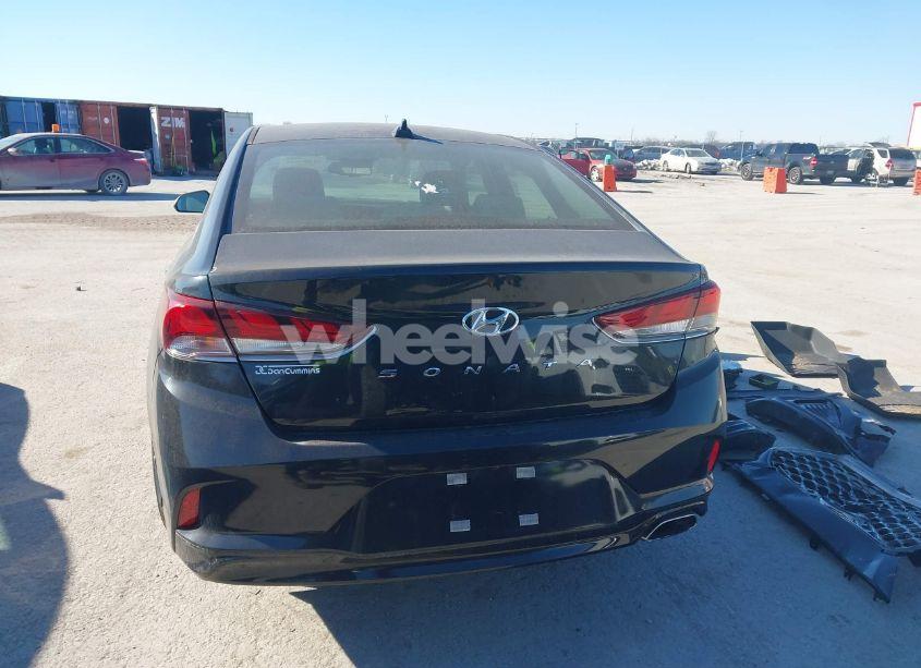 Photo 16 of 2019 Hyundai Sonata SEL (VIN 5NPE34AF0KH809897)