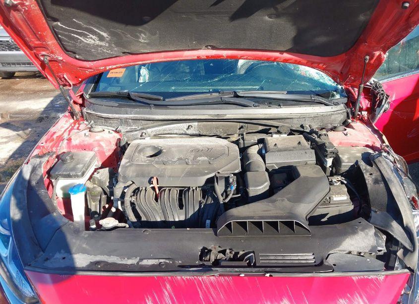 Photo 10 of 2019 Hyundai Sonata SPORT (VIN 5NPE34AF0KH816347)