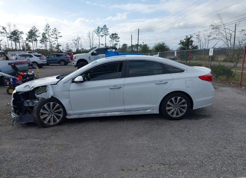 Photo 14 of 2016 Hyundai Sonata SPORT (VIN 5NPE34AF1GH379076)