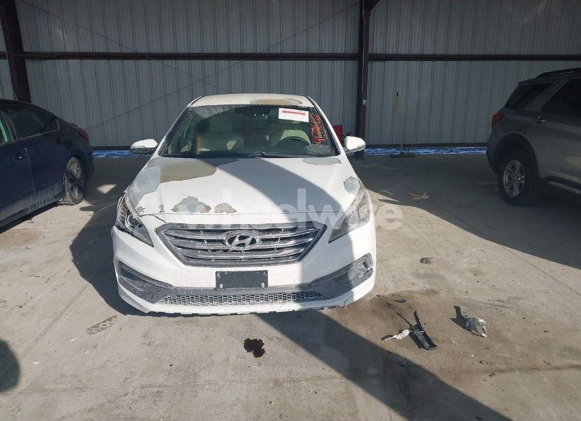 Photo 12 of 2017 Hyundai Sonata SPORT (VIN 5NPE34AF1HH514283)