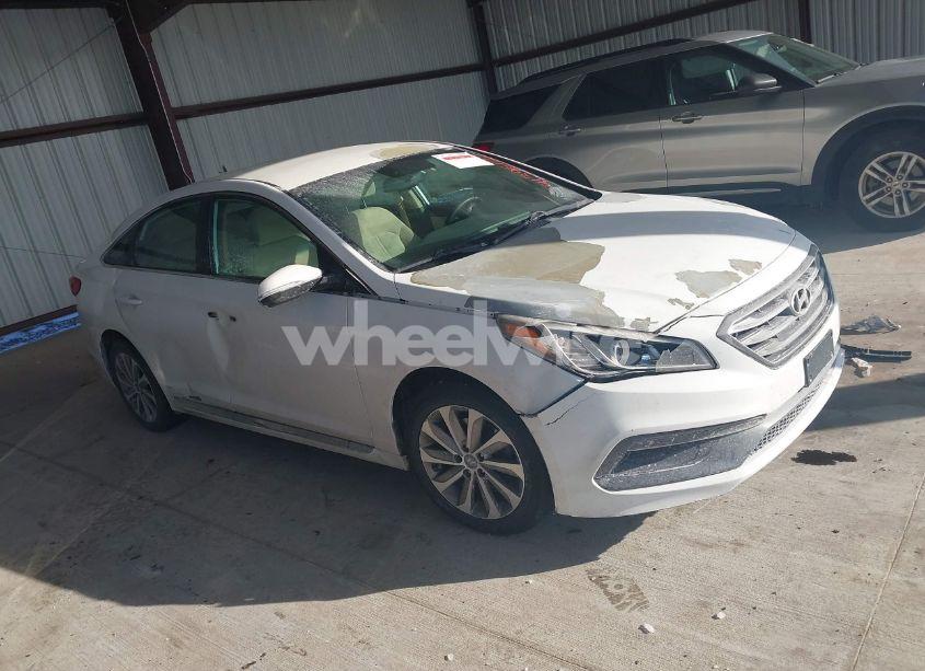 Photo 13 of 2017 Hyundai Sonata SPORT (VIN 5NPE34AF1HH514283)