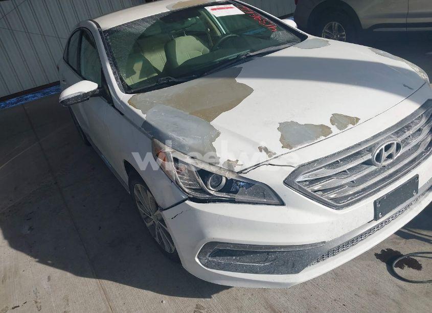 Photo 6 of 2017 Hyundai Sonata SPORT (VIN 5NPE34AF1HH514283)