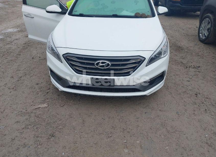 Photo 12 of 2017 Hyundai Sonata SPORT (VIN 5NPE34AF1HH528345)