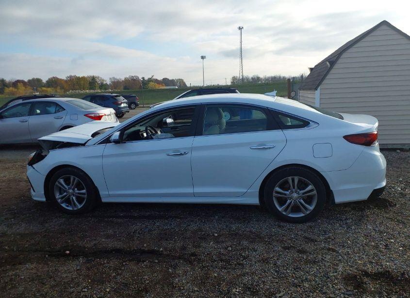 Photo 14 of 2018 Hyundai Sonata SEL (VIN 5NPE34AF1JH657742)