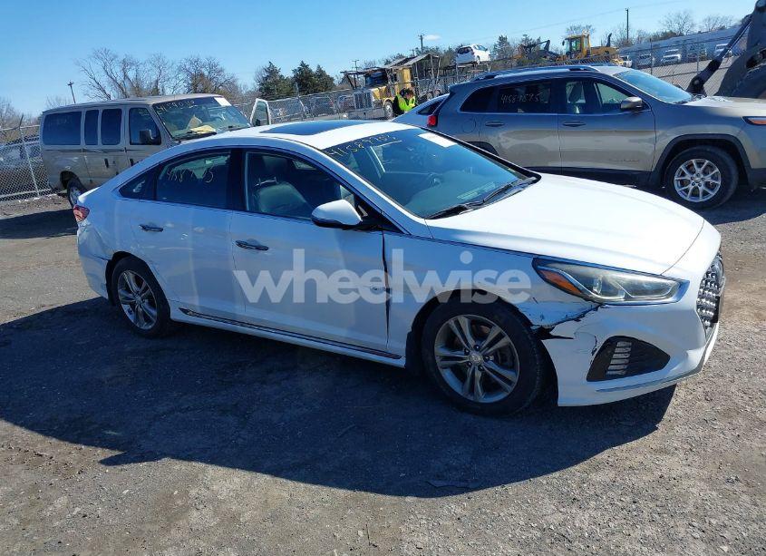 Photo 13 of 2018 Hyundai Sonata SPORT+ (VIN 5NPE34AF1JH700511)