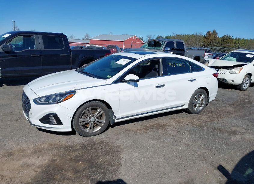 Photo 14 of 2018 Hyundai Sonata SPORT+ (VIN 5NPE34AF1JH700511)