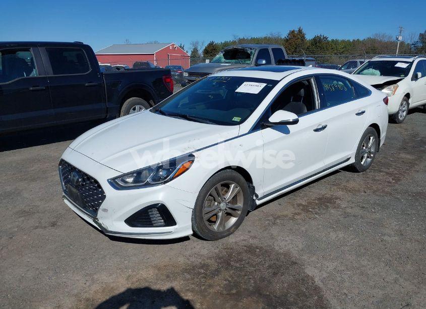 Photo 2 of 2018 Hyundai Sonata SPORT+ (VIN 5NPE34AF1JH700511)