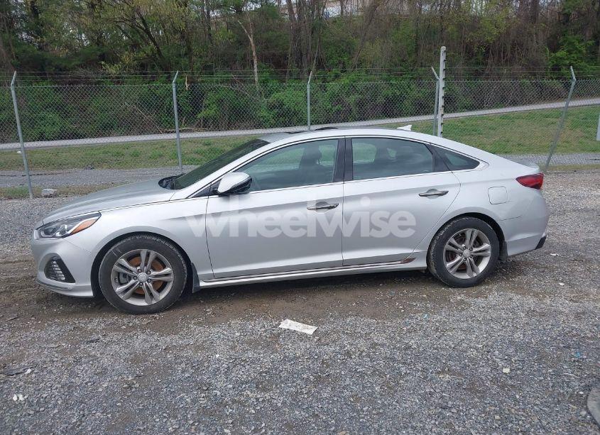 Photo 14 of 2018 Hyundai Sonata SPORT+ (VIN 5NPE34AF1JH701223)