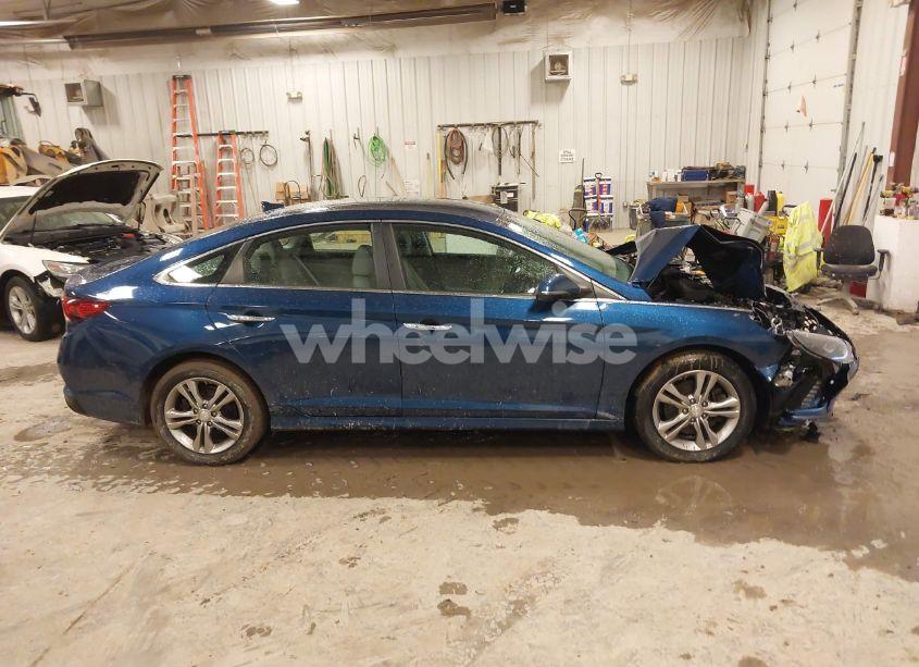 Photo 13 of 2019 Hyundai Sonata SEL (VIN 5NPE34AF1KH730769)