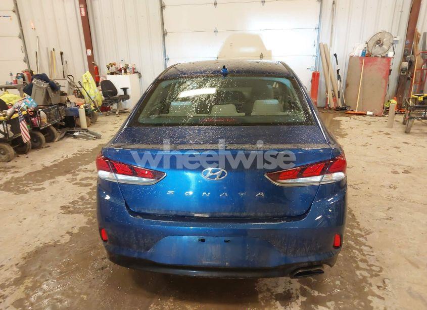 Photo 16 of 2019 Hyundai Sonata SEL (VIN 5NPE34AF1KH730769)