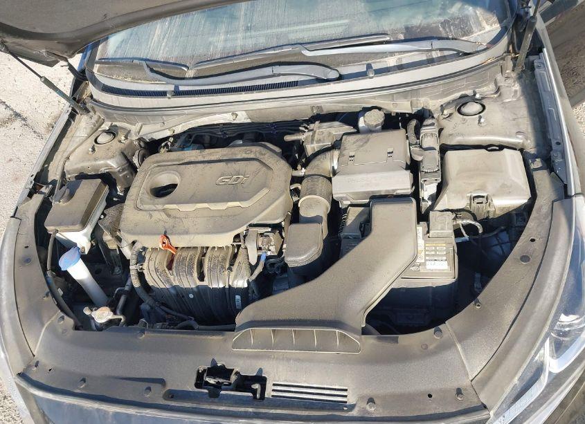 Photo 10 of 2019 Hyundai Sonata SEL (VIN 5NPE34AF1KH733932)