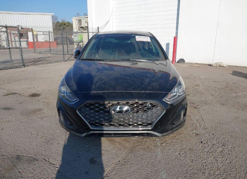 Photo 13 of 2019 Hyundai Sonata SEL (VIN 5NPE34AF1KH733932)