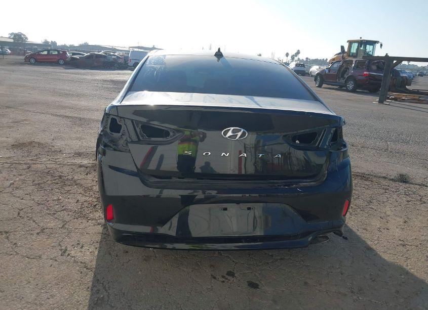 Photo 17 of 2019 Hyundai Sonata SEL (VIN 5NPE34AF1KH733932)
