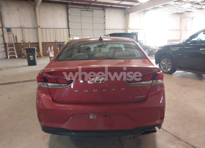 Photo 16 of 2019 Hyundai Sonata LIMITED (VIN 5NPE34AF1KH734661)