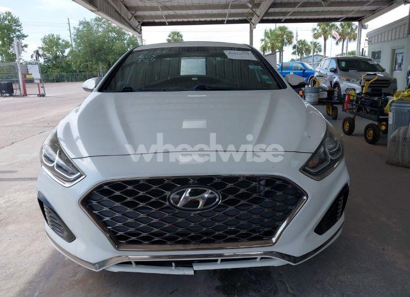 Photo 12 of 2019 Hyundai Sonata SPORT (VIN 5NPE34AF1KH749788)