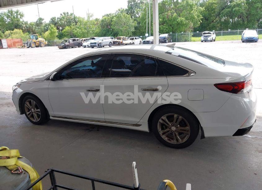 Photo 14 of 2019 Hyundai Sonata SPORT (VIN 5NPE34AF1KH749788)