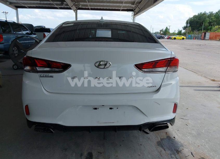 Photo 16 of 2019 Hyundai Sonata SPORT (VIN 5NPE34AF1KH749788)