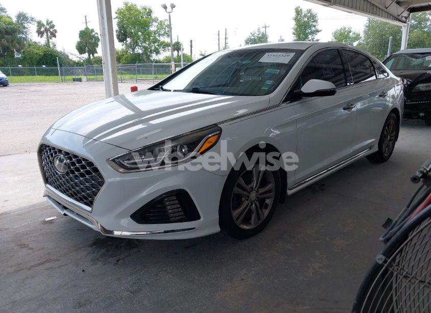 Photo 2 of 2019 Hyundai Sonata SPORT (VIN 5NPE34AF1KH749788)
