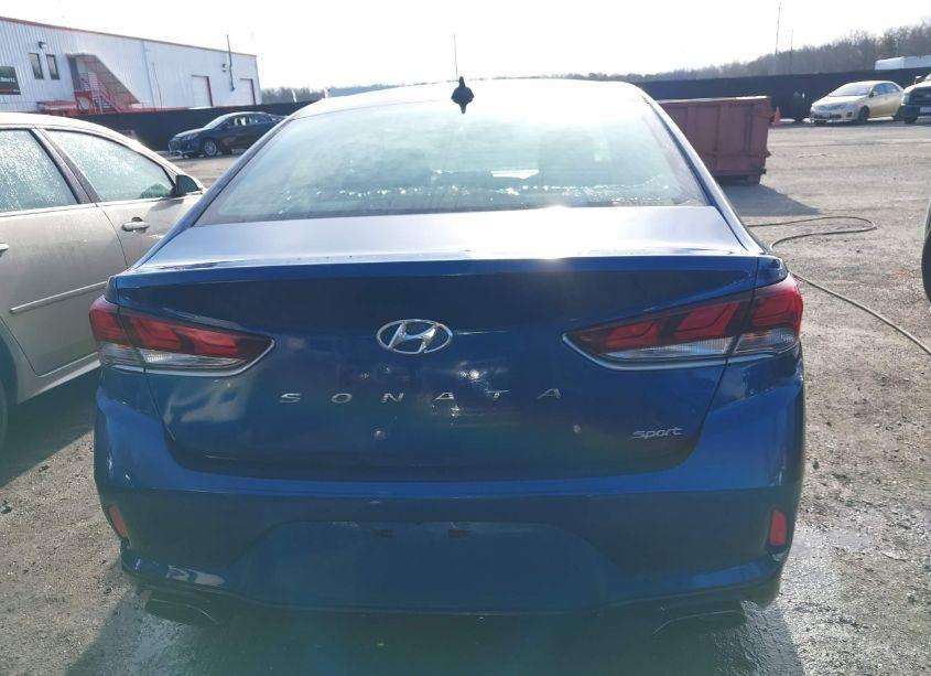 Photo 16 of 2019 Hyundai Sonata SPORT (VIN 5NPE34AF1KH764386)