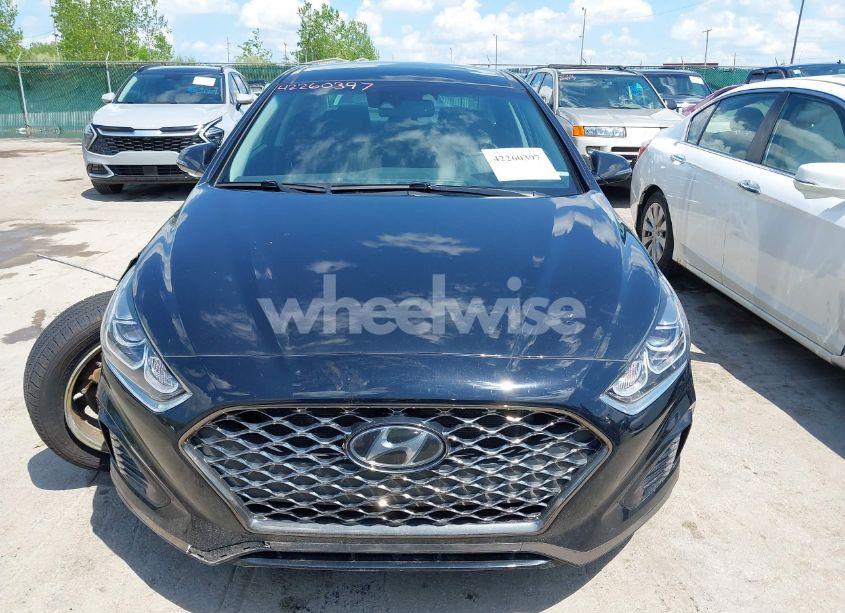 Photo 12 of 2019 Hyundai Sonata LIMITED (VIN 5NPE34AF1KH797081)