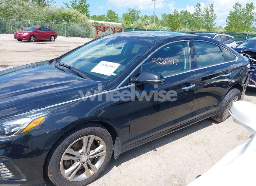 Photo 14 of 2019 Hyundai Sonata LIMITED (VIN 5NPE34AF1KH797081)