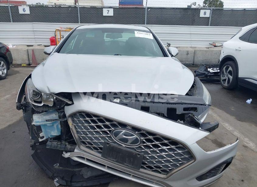 Photo 12 of 2019 Hyundai Sonata SPORT (VIN 5NPE34AF1KH805776)