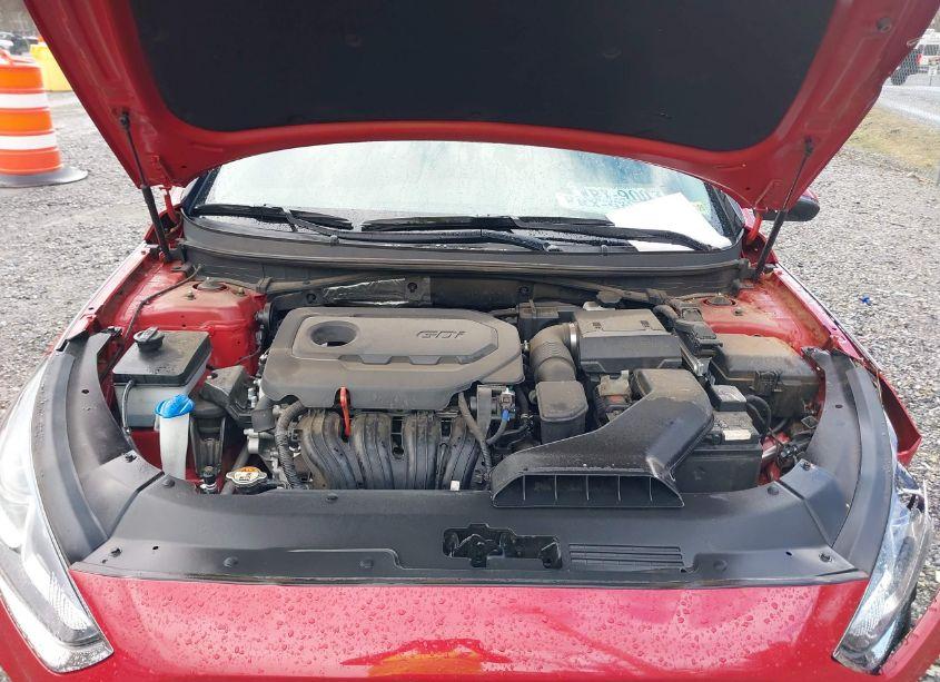 Photo 10 of 2019 Hyundai Sonata SEL (VIN 5NPE34AF1KH807821)