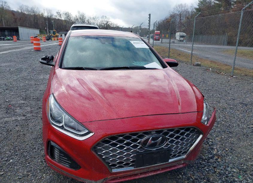 Photo 11 of 2019 Hyundai Sonata SEL (VIN 5NPE34AF1KH807821)