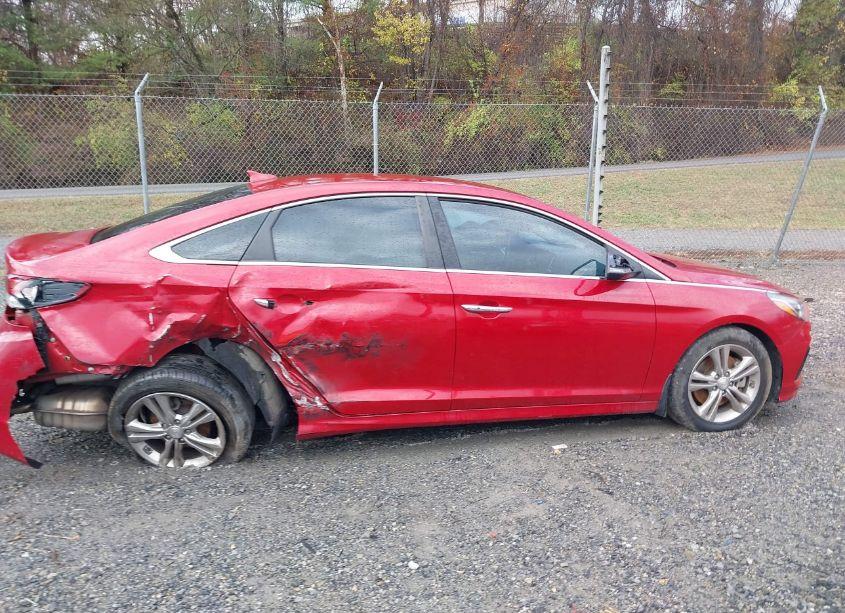 Photo 12 of 2019 Hyundai Sonata SEL (VIN 5NPE34AF1KH807821)