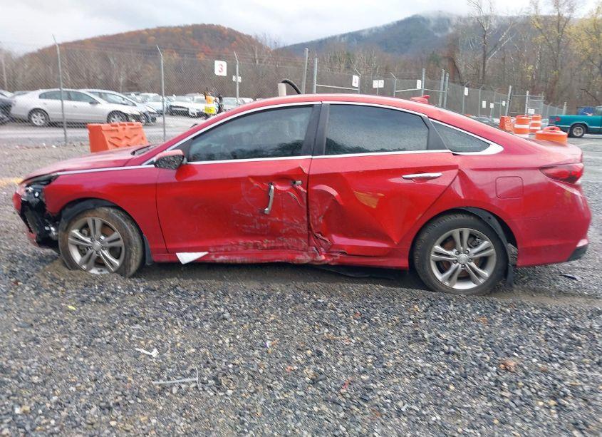 Photo 13 of 2019 Hyundai Sonata SEL (VIN 5NPE34AF1KH807821)