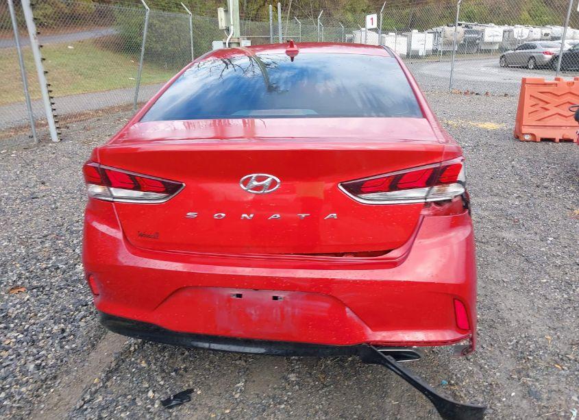 Photo 15 of 2019 Hyundai Sonata SEL (VIN 5NPE34AF1KH807821)