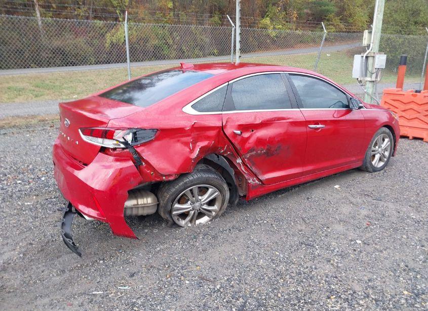 Photo 4 of 2019 Hyundai Sonata SEL (VIN 5NPE34AF1KH807821)