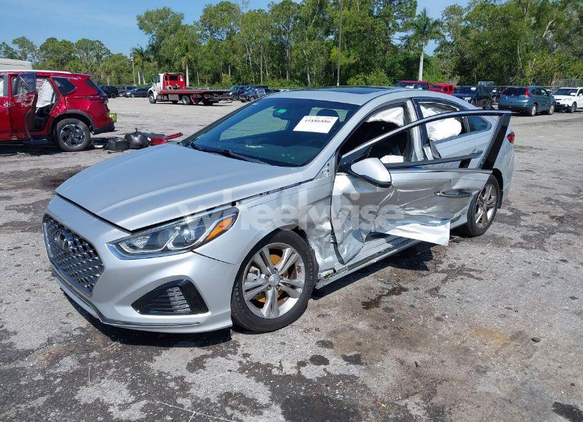 Photo 2 of 2019 Hyundai Sonata SPORT (VIN 5NPE34AF1KH816034)