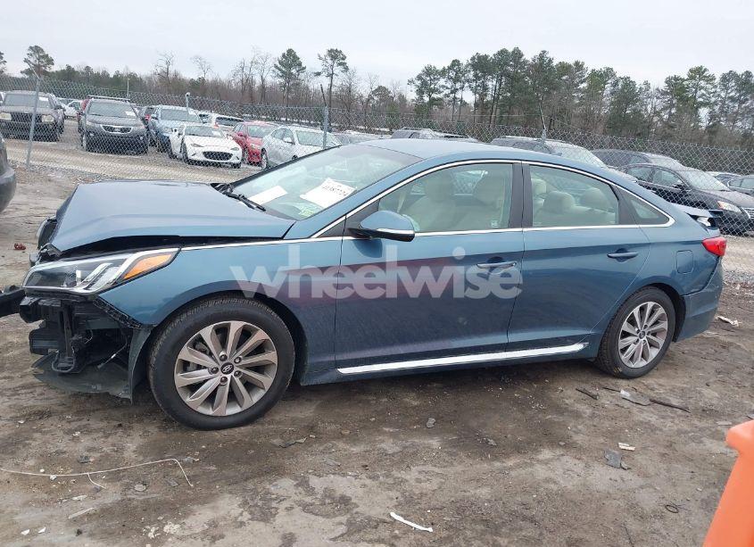Photo 14 of 2017 Hyundai Sonata SPORT (VIN 5NPE34AF2HH523882)