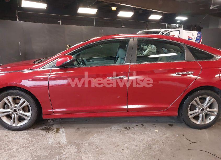 Photo 14 of 2018 Hyundai Sonata SEL (VIN 5NPE34AF2JH613846)