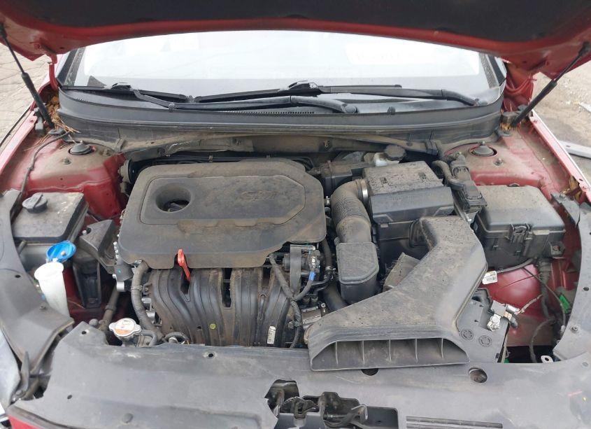 Photo 10 of 2019 Hyundai Sonata LIMITED (VIN 5NPE34AF2KH736838)