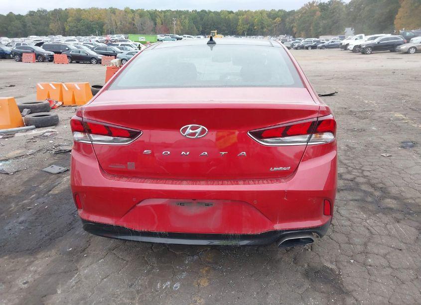 Photo 16 of 2019 Hyundai Sonata LIMITED (VIN 5NPE34AF2KH736838)