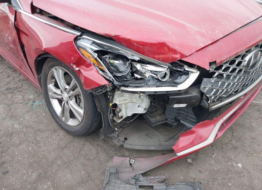 Photo 17 of 2019 Hyundai Sonata LIMITED (VIN 5NPE34AF2KH736838)