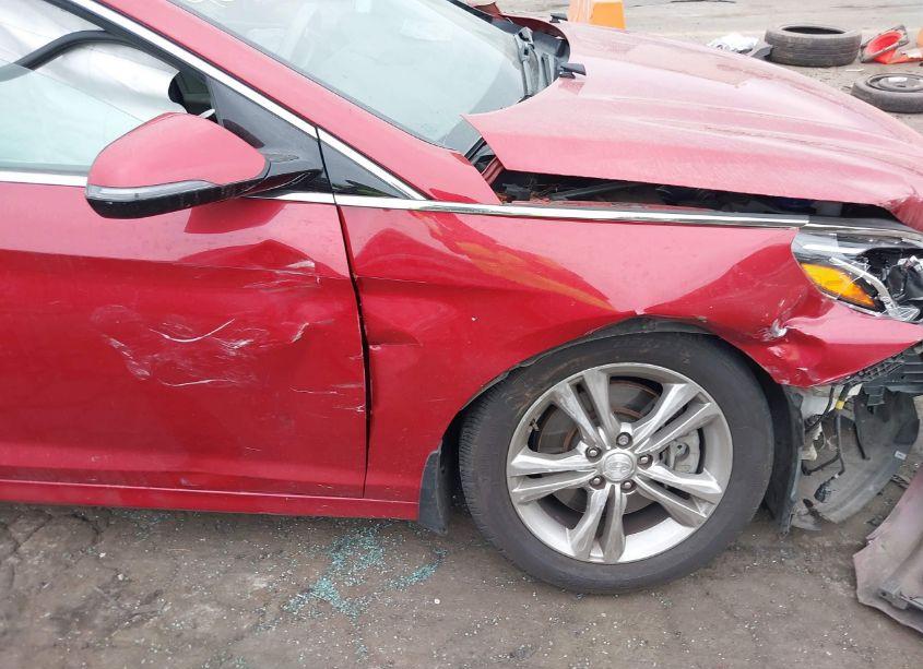 Photo 18 of 2019 Hyundai Sonata LIMITED (VIN 5NPE34AF2KH736838)