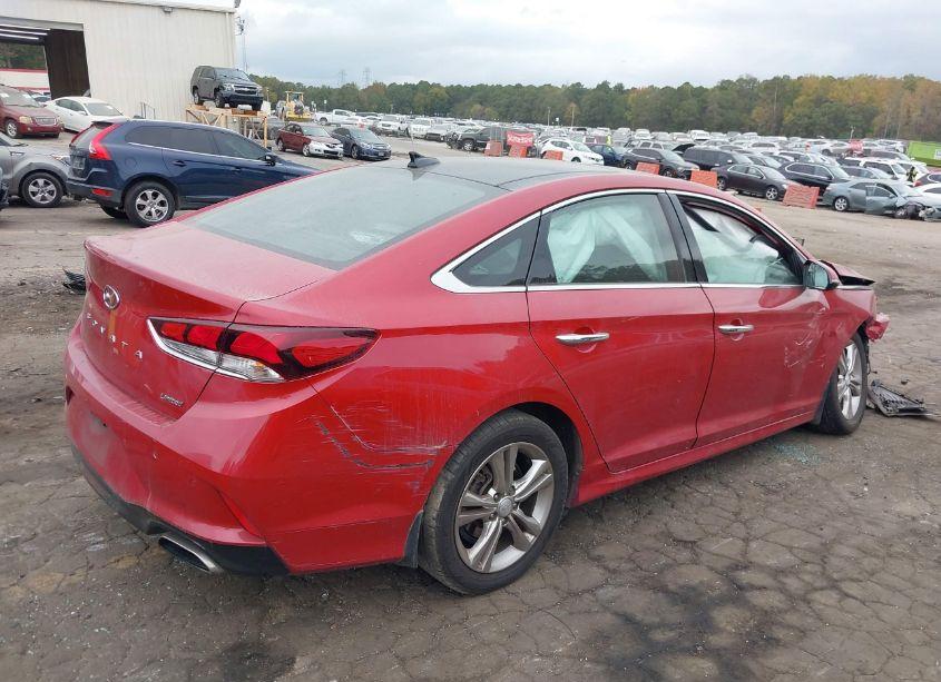 Photo 4 of 2019 Hyundai Sonata LIMITED (VIN 5NPE34AF2KH736838)