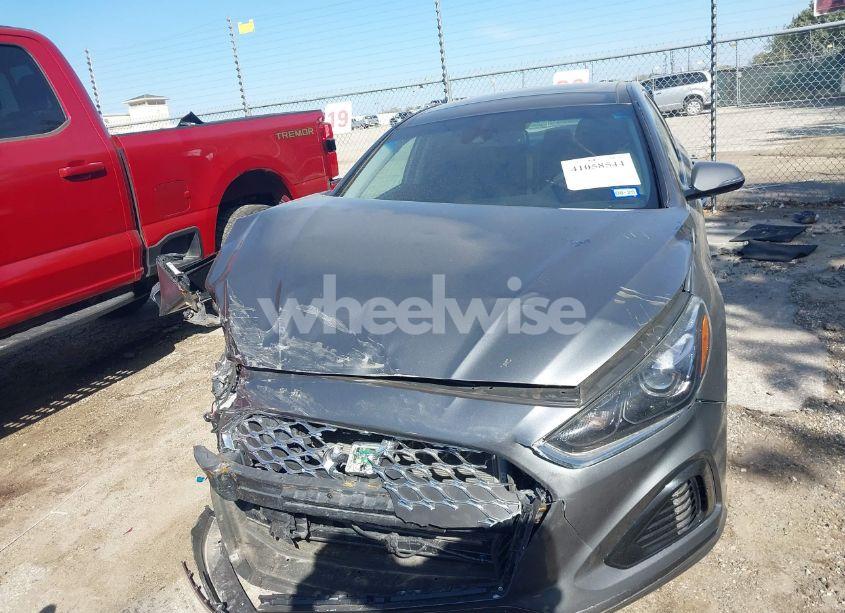 Photo 13 of 2019 Hyundai Sonata LIMITED (VIN 5NPE34AF2KH760959)