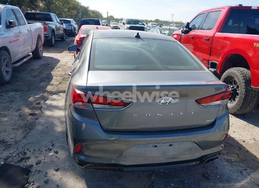 Photo 17 of 2019 Hyundai Sonata LIMITED (VIN 5NPE34AF2KH760959)