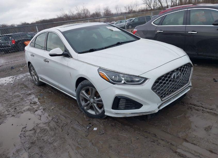 2019 Hyundai Sonata SPORT (VIN 5NPE34AF2KH766373) main photo