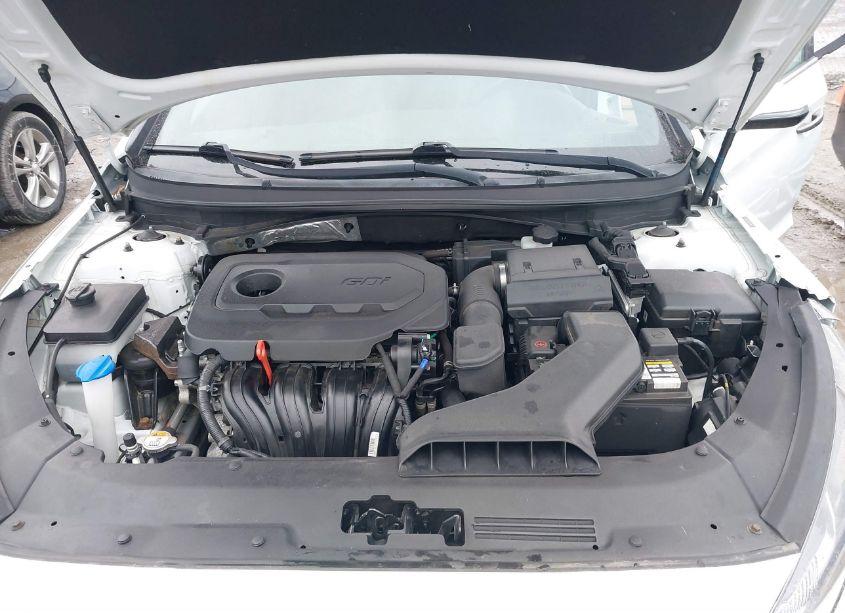 Photo 10 of 2019 Hyundai Sonata SPORT (VIN 5NPE34AF2KH766373)