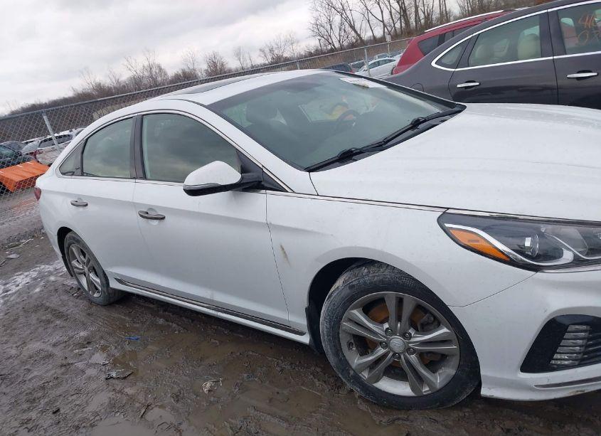 Photo 13 of 2019 Hyundai Sonata SPORT (VIN 5NPE34AF2KH766373)