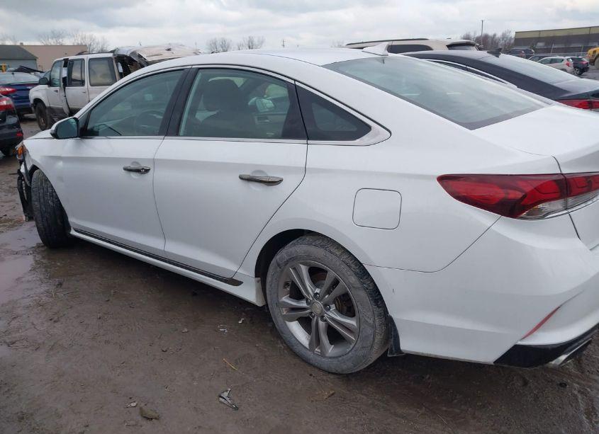 Photo 14 of 2019 Hyundai Sonata SPORT (VIN 5NPE34AF2KH766373)