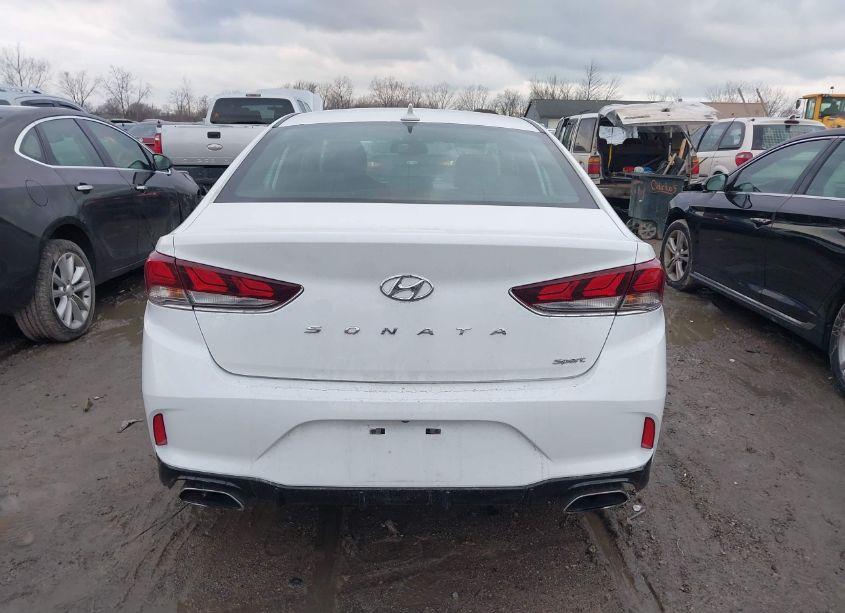 Photo 16 of 2019 Hyundai Sonata SPORT (VIN 5NPE34AF2KH766373)
