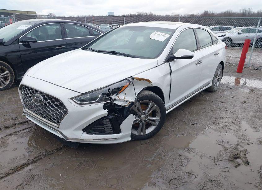 Photo 2 of 2019 Hyundai Sonata SPORT (VIN 5NPE34AF2KH766373)