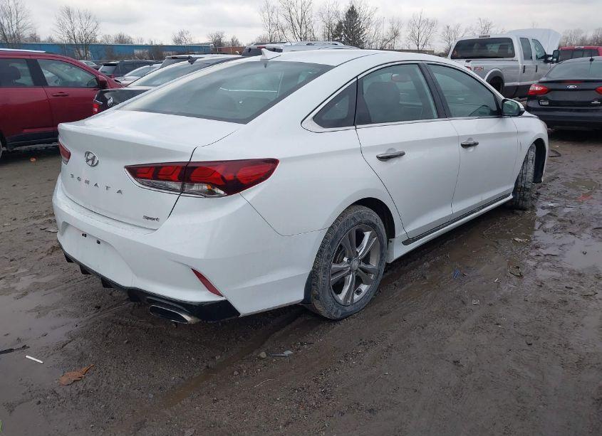 Photo 4 of 2019 Hyundai Sonata SPORT (VIN 5NPE34AF2KH766373)