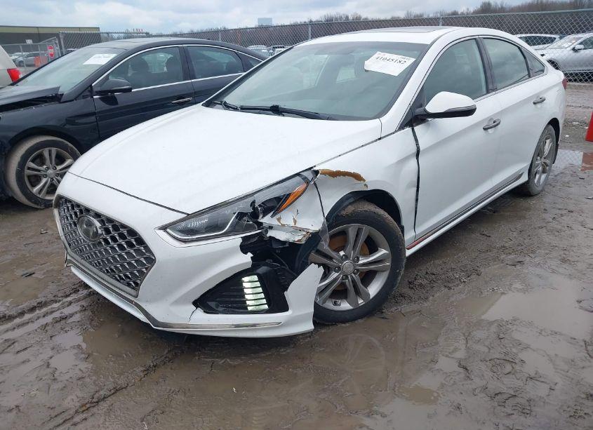 Photo 6 of 2019 Hyundai Sonata SPORT (VIN 5NPE34AF2KH766373)